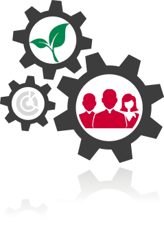 CE