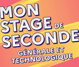 Mon stage de seconde