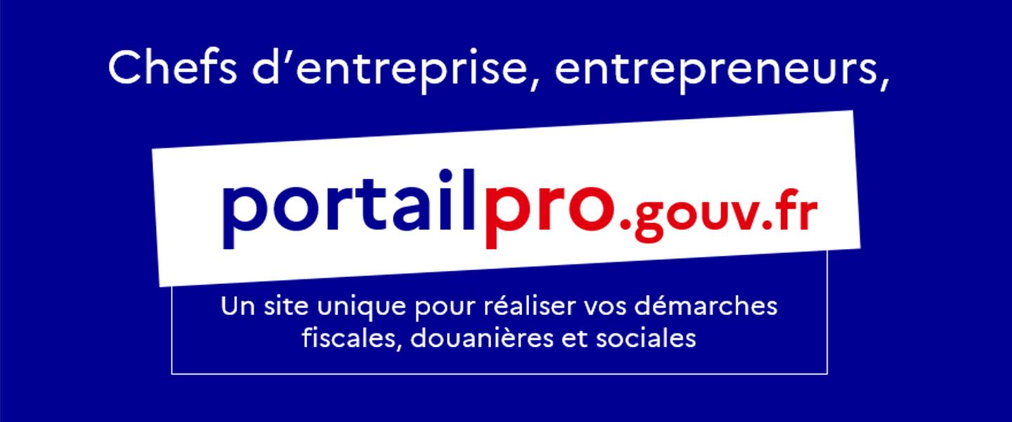 portail pro gouv
